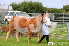 Southern District Agricultural Show 2024. Photo by Callum Staley (CJS Photography)