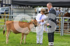 Southern District Agricultural Show 2024. Photo by Callum Staley (CJS Photography)