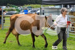 Southern District Agricultural Show 2024. Photo by Callum Staley (CJS Photography)