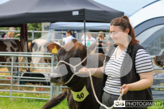 Southern District Agricultural Show 2024. Photo by Callum Staley (CJS Photography)