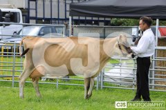 Southern District Agricultural Show 2024. Photo by Callum Staley (CJS Photography)