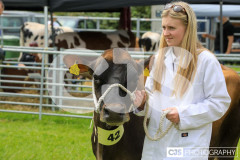 Southern District Agricultural Show 2024. Photo by Callum Staley (CJS Photography)