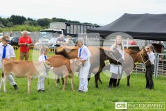 Southern District Agricultural Show 2024. Photo by Callum Staley (CJS Photography)