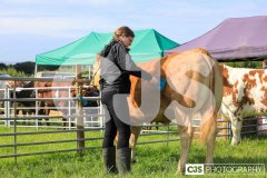 Southern District Agricultural Show 2024. Photo by Callum Staley (CJS Photography)