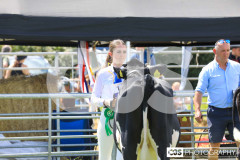 Southern District Agricultural Show 2024. Photo by Callum Staley (CJS Photography)