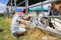 Southern District Agricultural Show 2024. Photo by Callum Staley (CJS Photography)