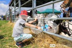 Southern District Agricultural Show 2024. Photo by Callum Staley (CJS Photography)