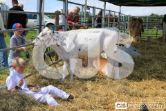 Southern District Agricultural Show 2024. Photo by Callum Staley (CJS Photography)