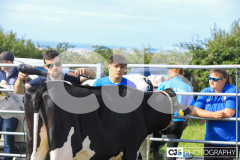 Southern District Agricultural Show 2024. Photo by Callum Staley (CJS Photography)