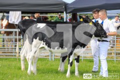 Southern District Agricultural Show 2024. Photo by Callum Staley (CJS Photography)