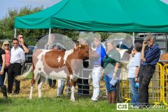 Southern District Agricultural Show 2024. Photo by Callum Staley (CJS Photography)