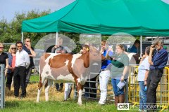 Southern District Agricultural Show 2024. Photo by Callum Staley (CJS Photography)