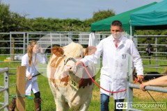 Southern District Agricultural Show 2024. Photo by Callum Staley (CJS Photography)