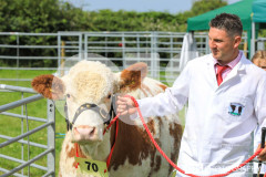 Southern District Agricultural Show 2024. Photo by Callum Staley (CJS Photography)