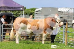 Southern District Agricultural Show 2024. Photo by Callum Staley (CJS Photography)