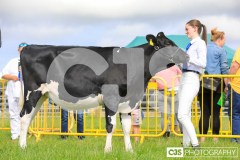 Southern District Agricultural Show 2024. Photo by Callum Staley (CJS Photography)