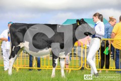 Southern District Agricultural Show 2024. Photo by Callum Staley (CJS Photography)