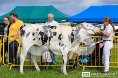 Southern District Agricultural Show 2024. Photo by Callum Staley (CJS Photography)