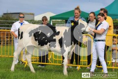 Southern District Agricultural Show 2024. Photo by Callum Staley (CJS Photography)