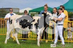 Southern District Agricultural Show 2024. Photo by Callum Staley (CJS Photography)