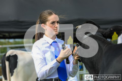 Southern District Agricultural Show 2024. Photo by Callum Staley (CJS Photography)