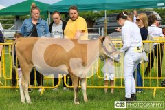 Southern District Agricultural Show 2024. Photo by Callum Staley (CJS Photography)
