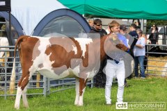 Southern District Agricultural Show 2024. Photo by Callum Staley (CJS Photography)