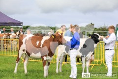 Southern District Agricultural Show 2024. Photo by Callum Staley (CJS Photography)