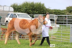 Southern District Agricultural Show 2024. Photo by Callum Staley (CJS Photography)