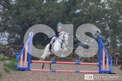 IMG_6648 IMG_6648