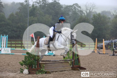 IMG_6653 IMG_6653