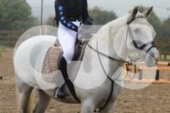 IMG_6694 IMG_6694