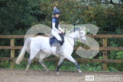 IMG_6709 IMG_6709