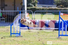 Royal Manx Agricultural Show 2024. Photo by Callum Staley (CJS Photography)