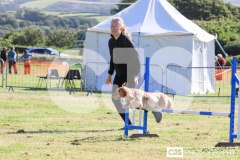 Royal Manx Agricultural Show 2024. Photo by Callum Staley (CJS Photography)
