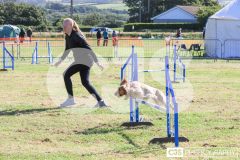 Royal Manx Agricultural Show 2024. Photo by Callum Staley (CJS Photography)