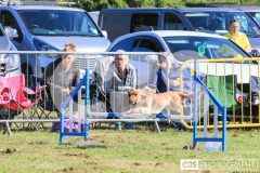 Royal Manx Agricultural Show 2024. Photo by Callum Staley (CJS Photography)