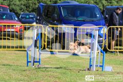 Royal Manx Agricultural Show 2024. Photo by Callum Staley (CJS Photography)