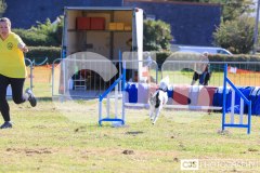 Royal Manx Agricultural Show 2024. Photo by Callum Staley (CJS Photography)