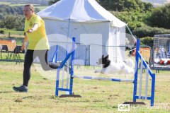 Royal Manx Agricultural Show 2024. Photo by Callum Staley (CJS Photography)