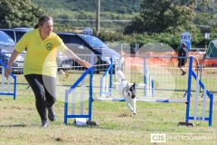 Royal Manx Agricultural Show 2024. Photo by Callum Staley (CJS Photography)
