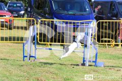 Royal Manx Agricultural Show 2024. Photo by Callum Staley (CJS Photography)