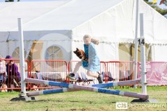 Royal Manx Agricultural Show 2024. Photo by Callum Staley (CJS Photography)