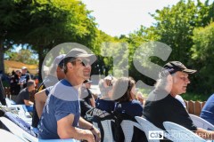 IMG_7779