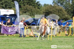Southern District Agricultural Show 2024. Photo by Callum Staley (CJS Photography)