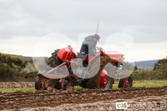 Ploughing Match at Ballagyr, Peel. Photo by Callum Staley (CJS Photography).
