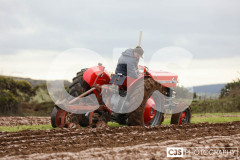 Ploughing Match at Ballagyr, Peel. Photo by Callum Staley (CJS Photography).