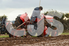 Ploughing Match at Ballagyr, Peel. Photo by Callum Staley (CJS Photography).