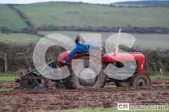 Ploughing Match at Ballagyr, Peel. Photo by Callum Staley (CJS Photography).