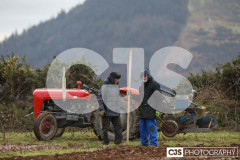 Ploughing Match at Ballagyr, Peel. Photo by Callum Staley (CJS Photography).